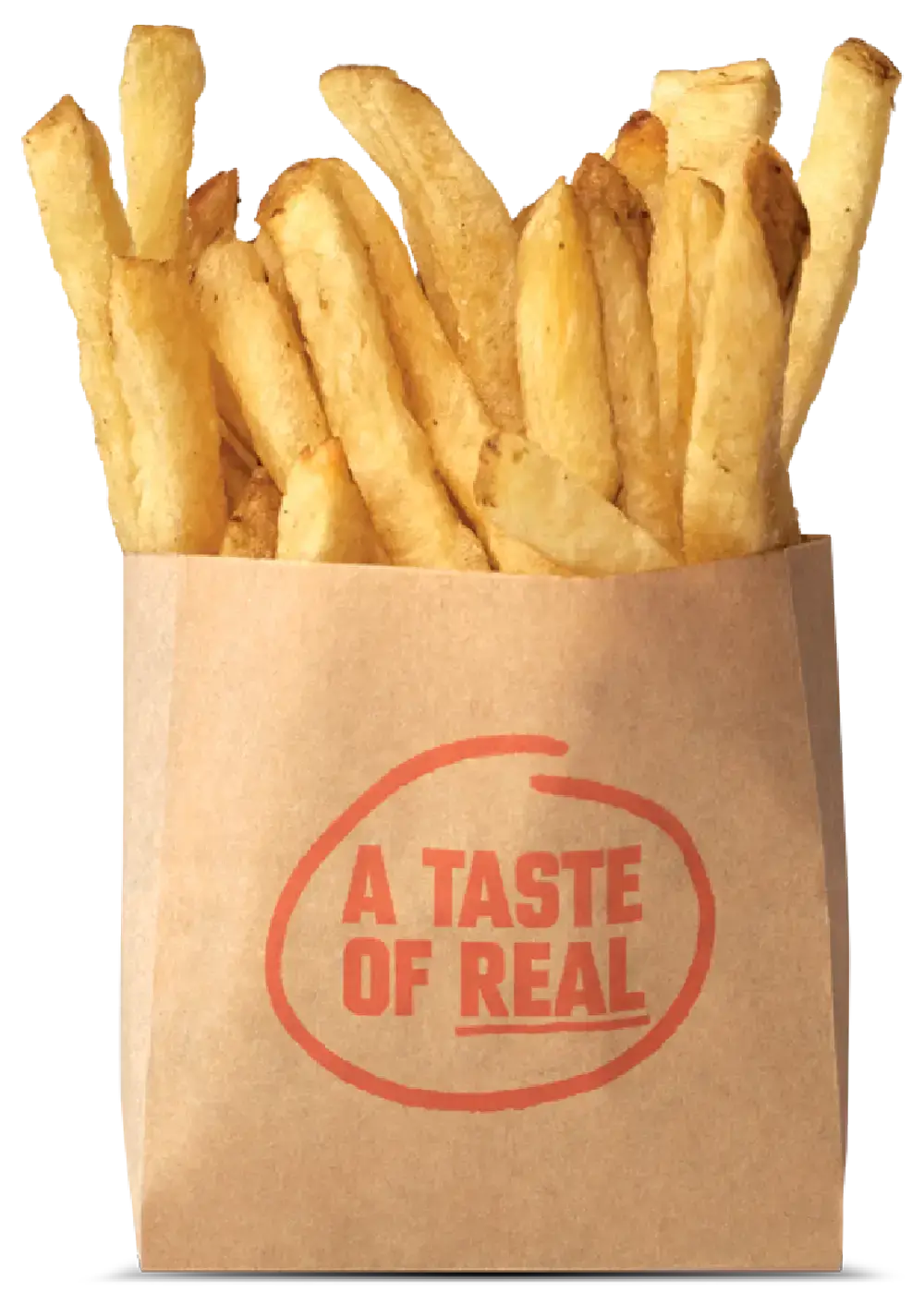 French Fries from Burger Lounge