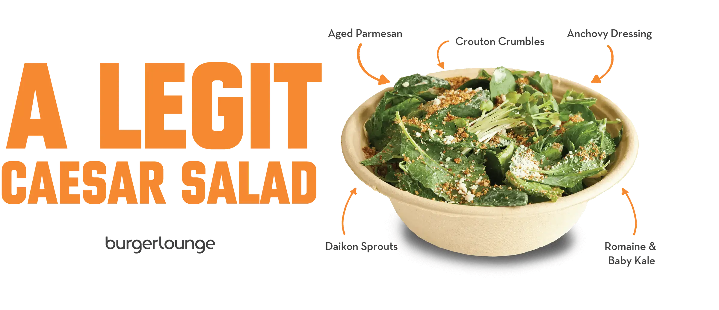 Promotional image of the Burger Lounge Caesar Salad pointing out ingredients on the salad - Desktop Version
